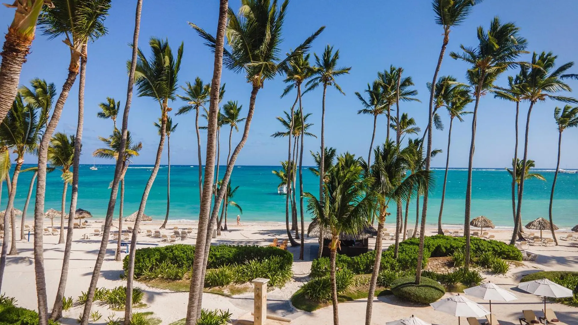 ***** Resort Jewel Palm Beach Punta Cana Dominican Republic